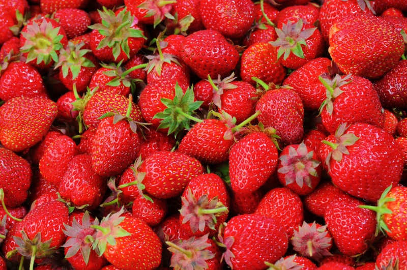 primeur-TRAMOLE-min_strawberries-528791